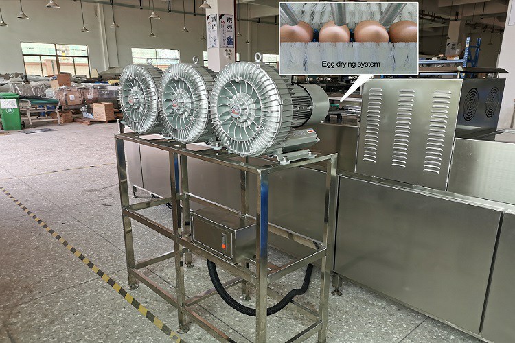 圖片5.jpg 圖片5.jpg