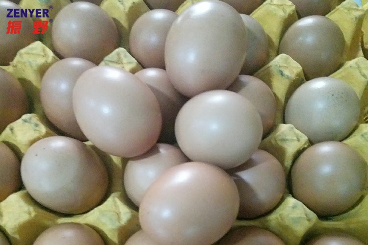 圖片18~1.jpg 圖片18~1.jpg