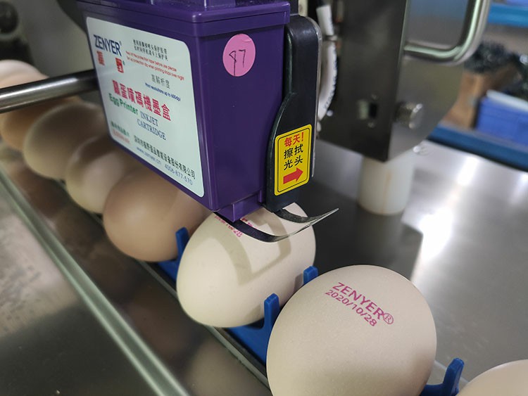 圖片20~2.jpg 圖片20~2.jpg