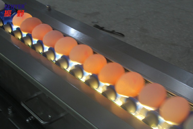 圖片58~1.jpg 圖片58~1.jpg