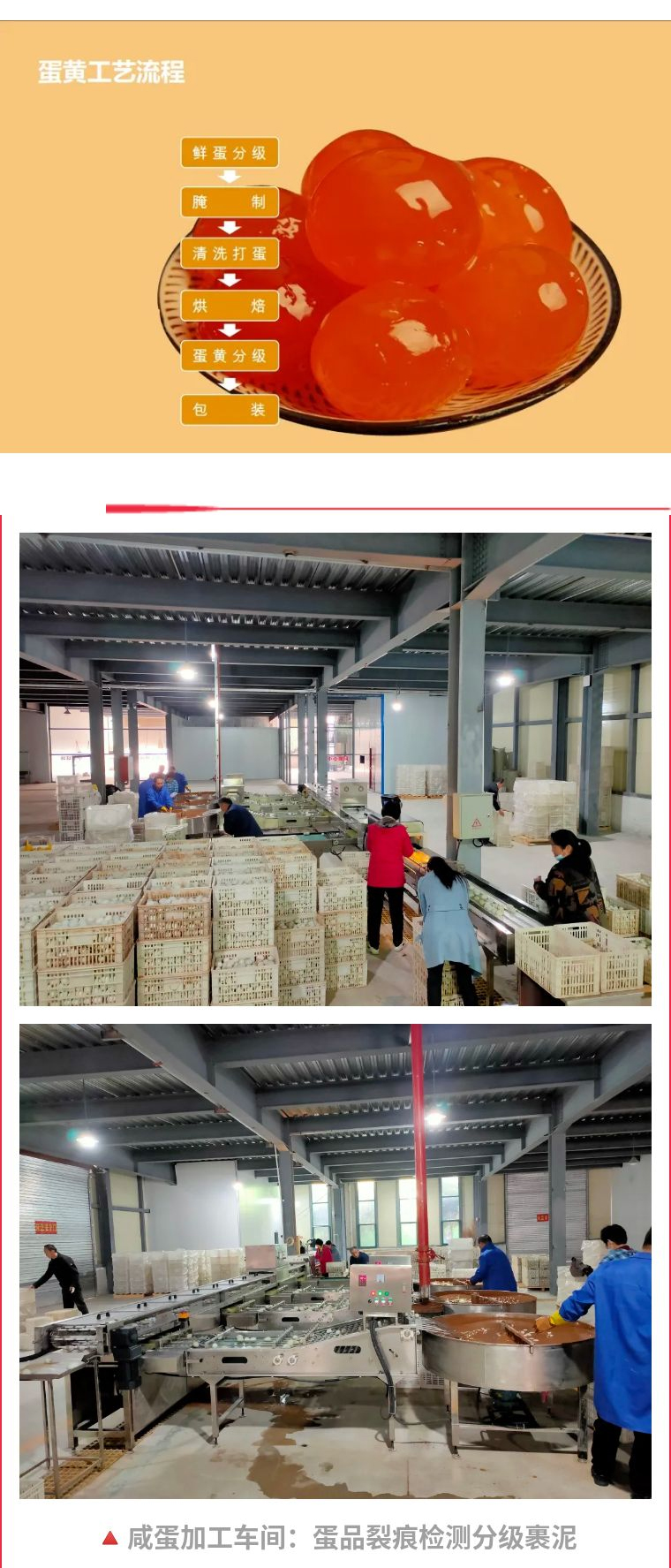 圖片2.jpg 圖片2.jpg