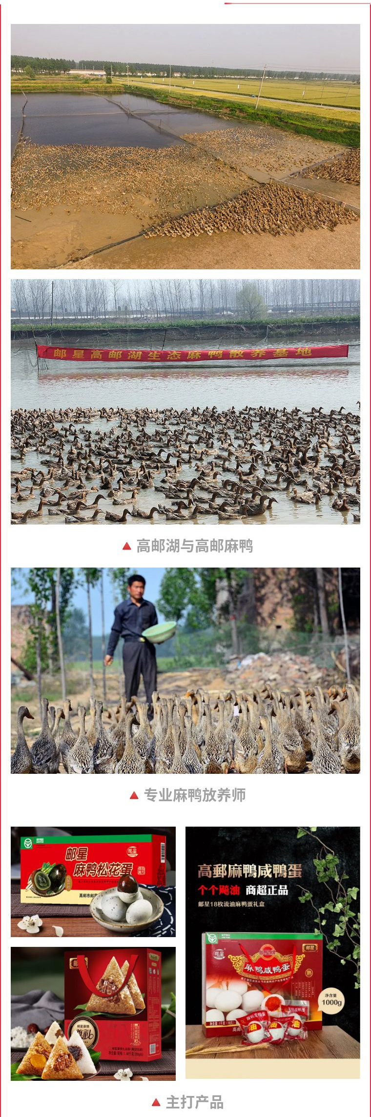 圖片2.jpg 圖片2.jpg