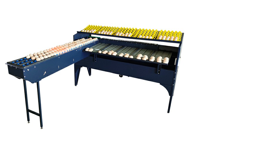 深圳市振野蛋品智能設(shè)備股份有限公司