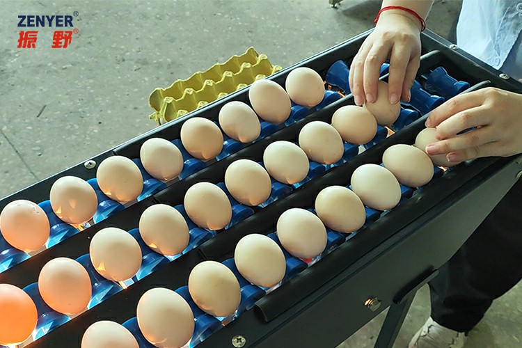 手工上蛋帶logo.jpg 手工上蛋帶logo.jpg