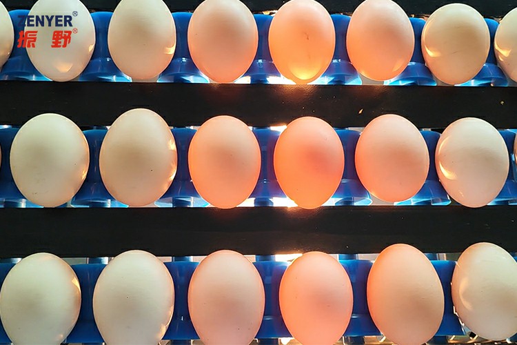 燈泡光檢帶logo.jpg 燈泡光檢帶logo.jpg