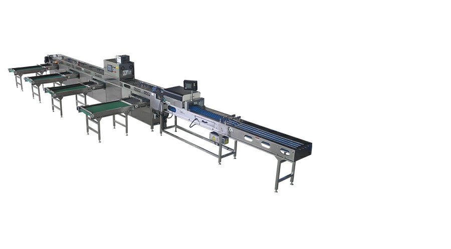 深圳市振野蛋品智能設(shè)備股份有限公司