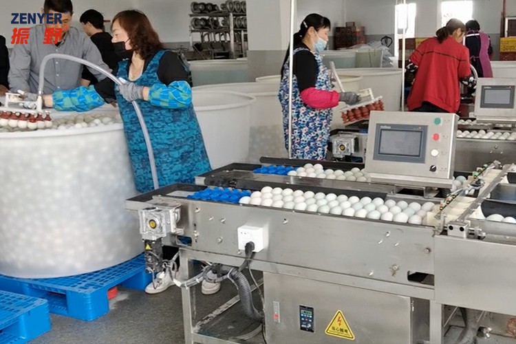 吸蛋下缸 (2).jpg 吸蛋下缸 (2).jpg