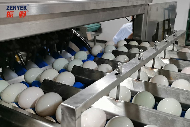 進蛋.jpg 進蛋.jpg