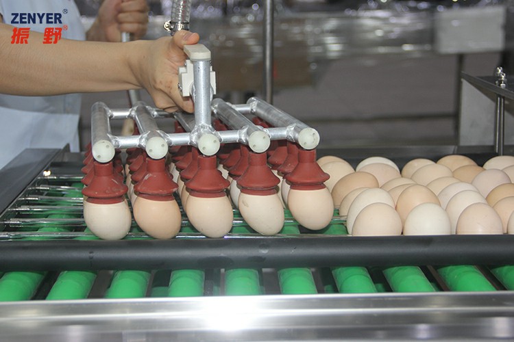 吸盤上蛋1.jpg 吸盤上蛋1.jpg