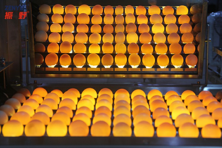 光檢1 (2).jpg 光檢1 (2).jpg