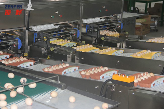 裝托.jpg 裝托.jpg