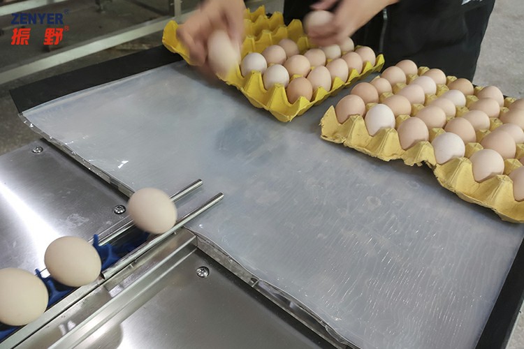 收蛋桌收蛋.jpg 收蛋桌收蛋.jpg